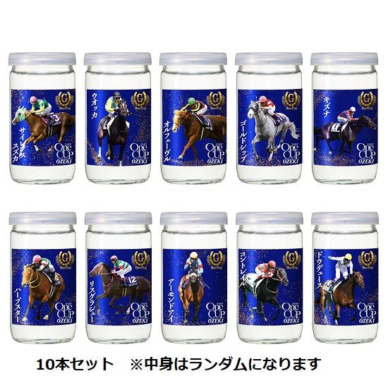 上撰 競馬 ワンカップ 大関 180ml 瓶詰 G-OneCup 5本×2個 合計10本