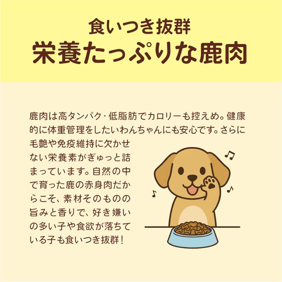 舞鶴ジビエ工房2パックセット無添加鹿肉ジャーキー200g 100gが2つわん