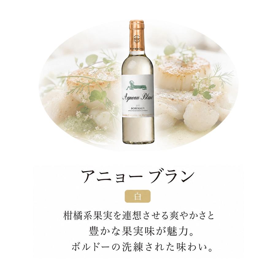 今日はどこの国へ行こう？世界旅行ハーフワイン 6本セット 今日はどれにしよう？ ワインセット シリーズ 赤 白 泡 送料無料 |  | 05