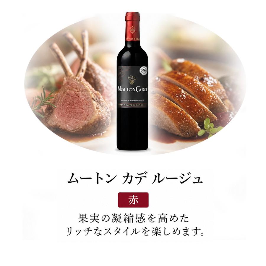 今日の食卓に♪ 赤・白ハーフ6本セット 今日はどれにしよう？ ワインセット シリーズ 赤 白 送料無料 |  | 02
