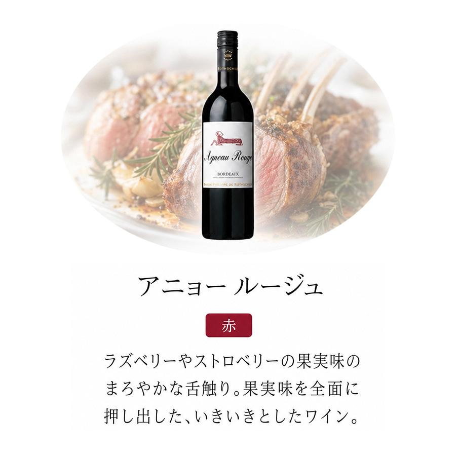 今日の食卓に♪ 赤・白ハーフ6本セット 今日はどれにしよう？ ワインセット シリーズ 赤 白 送料無料 |  | 04