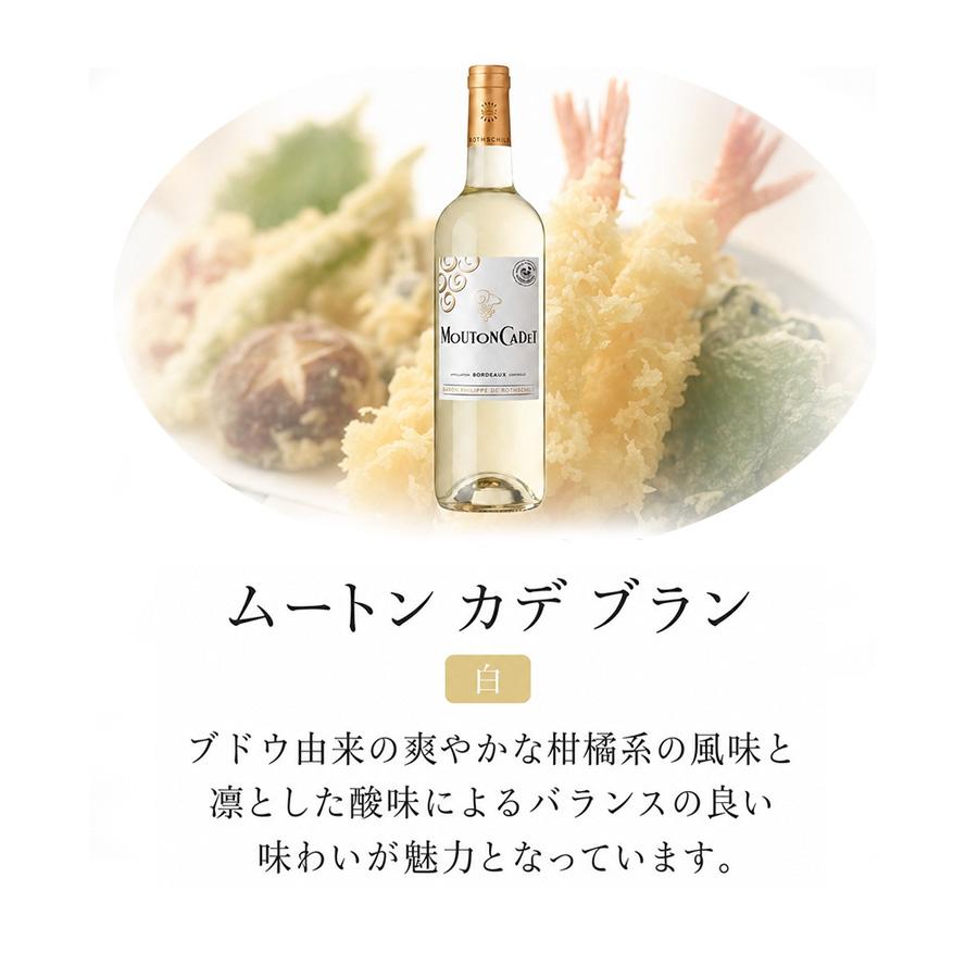 今日の食卓に♪ 赤・白ハーフ6本セット 今日はどれにしよう？ ワインセット シリーズ 赤 白 送料無料 |  | 05