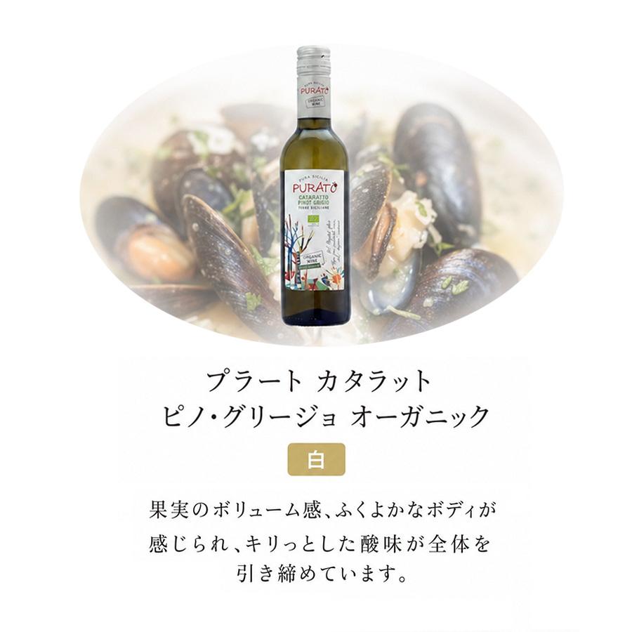 今日の食卓に♪ 赤・白ハーフ6本セット 今日はどれにしよう？ ワインセット シリーズ 赤 白 送料無料 |  | 06