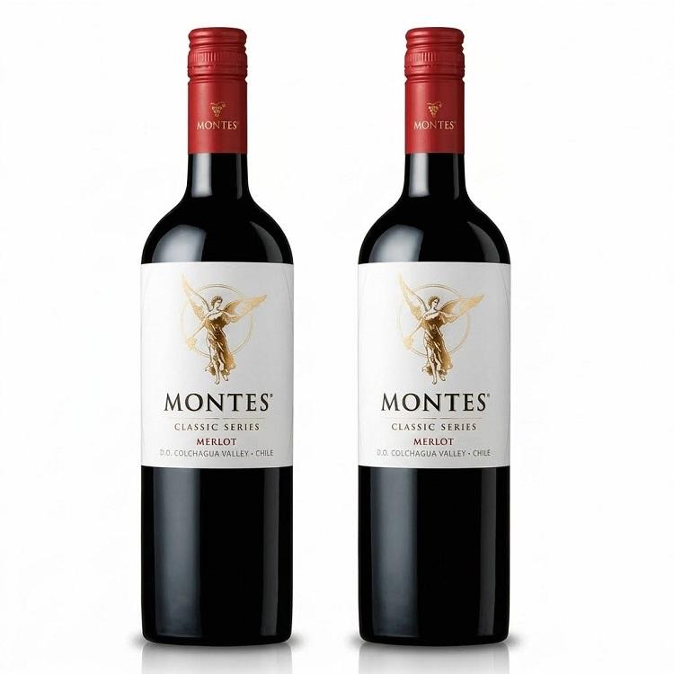 ワインセット モンテス クラシック メルロ 750ml 赤2本セット 送料無料 | 