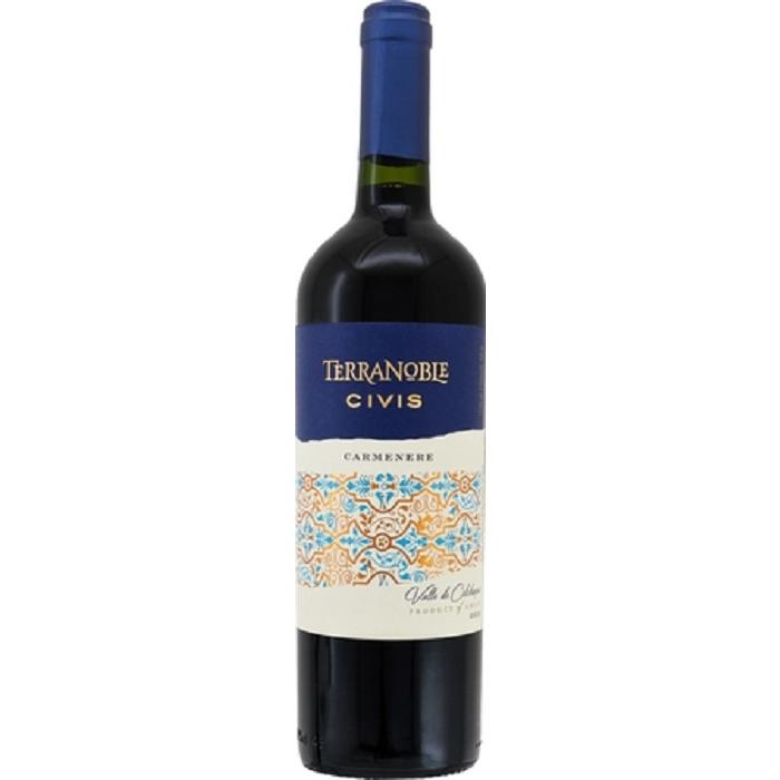テラノブレ シビス カルメネール レゼルバ 2022 750ml・赤 wine | 