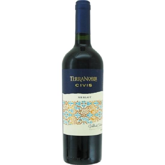 チリ  テラノブレ シビス メルロ レゼルバ 2022 750ml・赤 wine | 