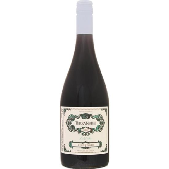 チリ  テラノブレ ピノ ノワール グラン レゼルバ SC 2022 750ml・赤 wine | 