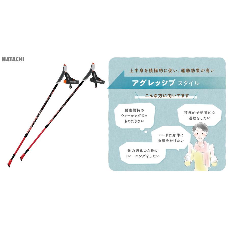 レキ Leki トラベラーカーボンts2 ノルディックウォーキングポール メッシュ