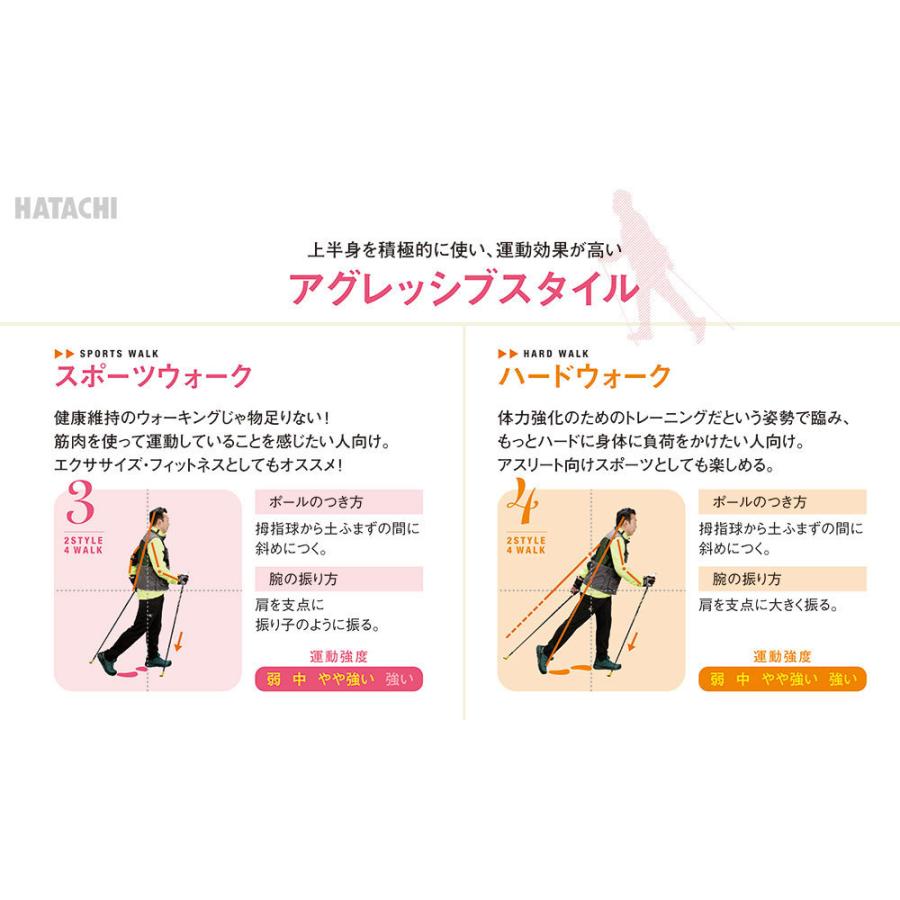 レキ Leki トラベラーカーボンts2 ノルディックウォーキングポール メッシュ