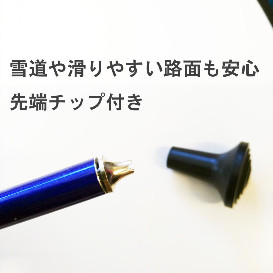 ハタチ ノルディックウォークポール HATACHI ノルディックウォーキング ポール AGPアドバンスズーム2 +