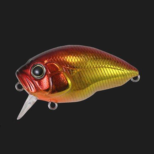 2026年最新】Yahoo!オークション -インキュベーター ラッシュ60の中古