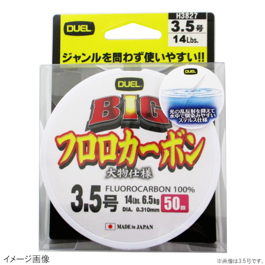 DUEL（デュエル） BIG フロロカーボン 50m 8号 クリアー【ゆうパケット
