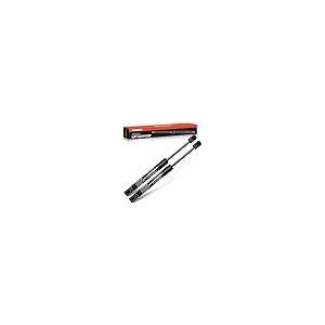 【並行輸入品】A Premium Front Hood Lift Supports Shock Struts Compatible withの画像