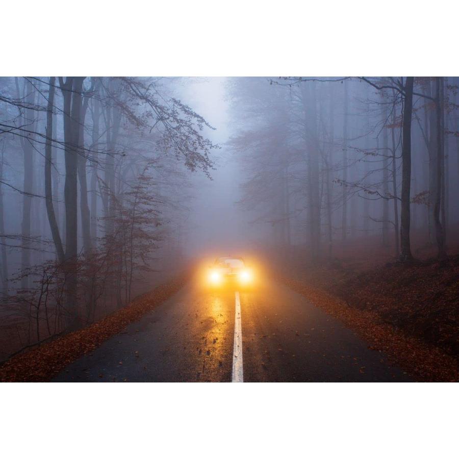 【並行輸入品】Teochew LED LEDポッド LTEODCHEW 4 Inch Round LED Offroad Lights Ambeの画像
