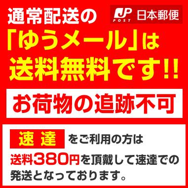 ウォークマン ZXシリーズ ZX2 NW-ZX2 NW-F880 NW-ZX1 保護フィルム 2枚