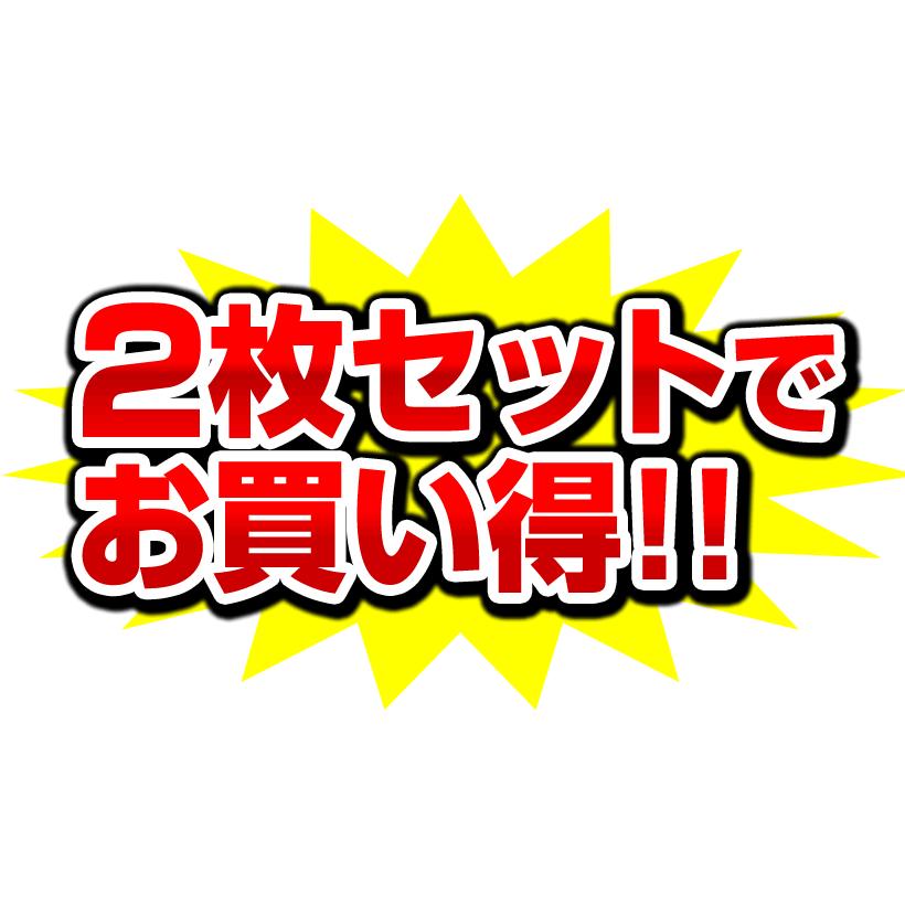 ウォークマン ZXシリーズ ZX2 NW-ZX2 NW-F880 NW-ZX1 保護フィルム 2枚