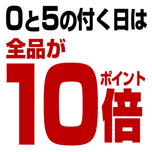 2枚セット GARMIN Edge 1040 Solar / ガラス 保護フィルム フィルム