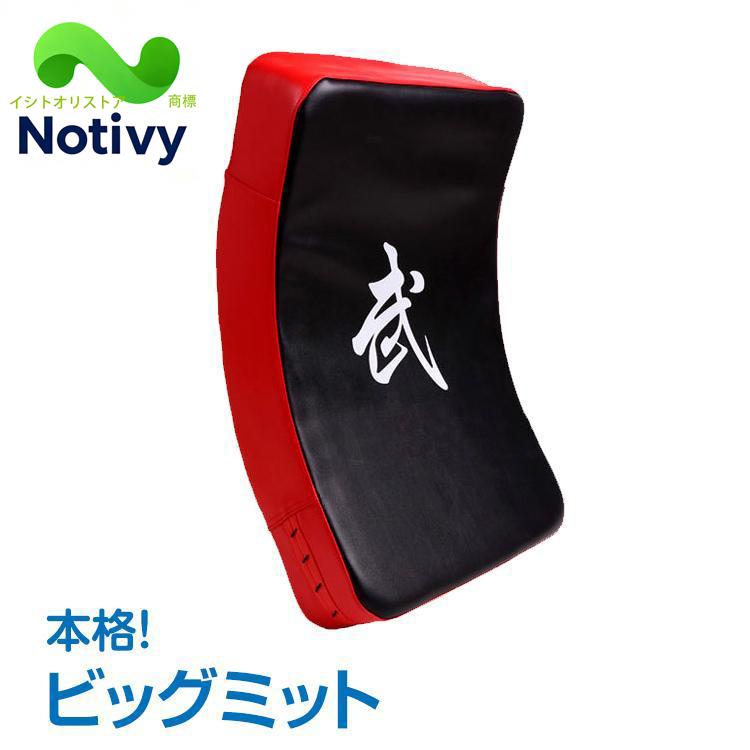 ビッグミット 打撃ミット 空手 キックボクシング 武道 総合格闘技 