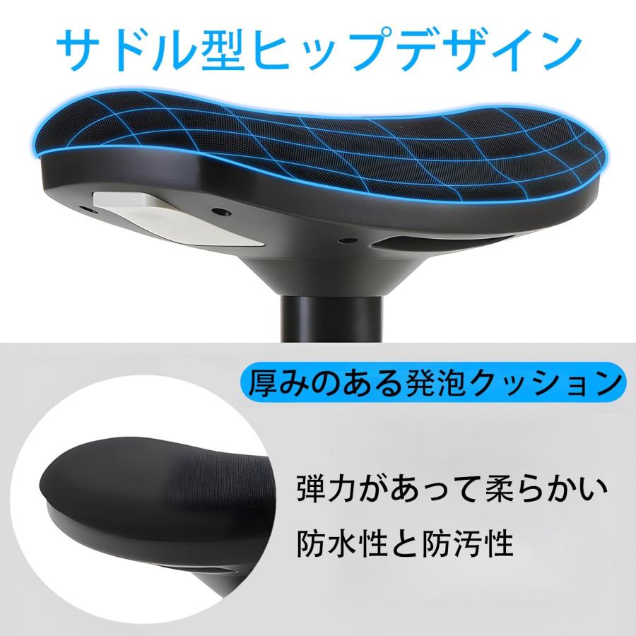 バランスチェア 姿勢矯正 体幹トレーニング 腰痛対策 360°回転式 高さ