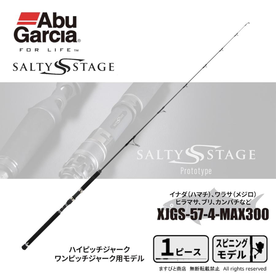 Abu Garcia（アブガルシア） ソルティーステージ プロトタイプ