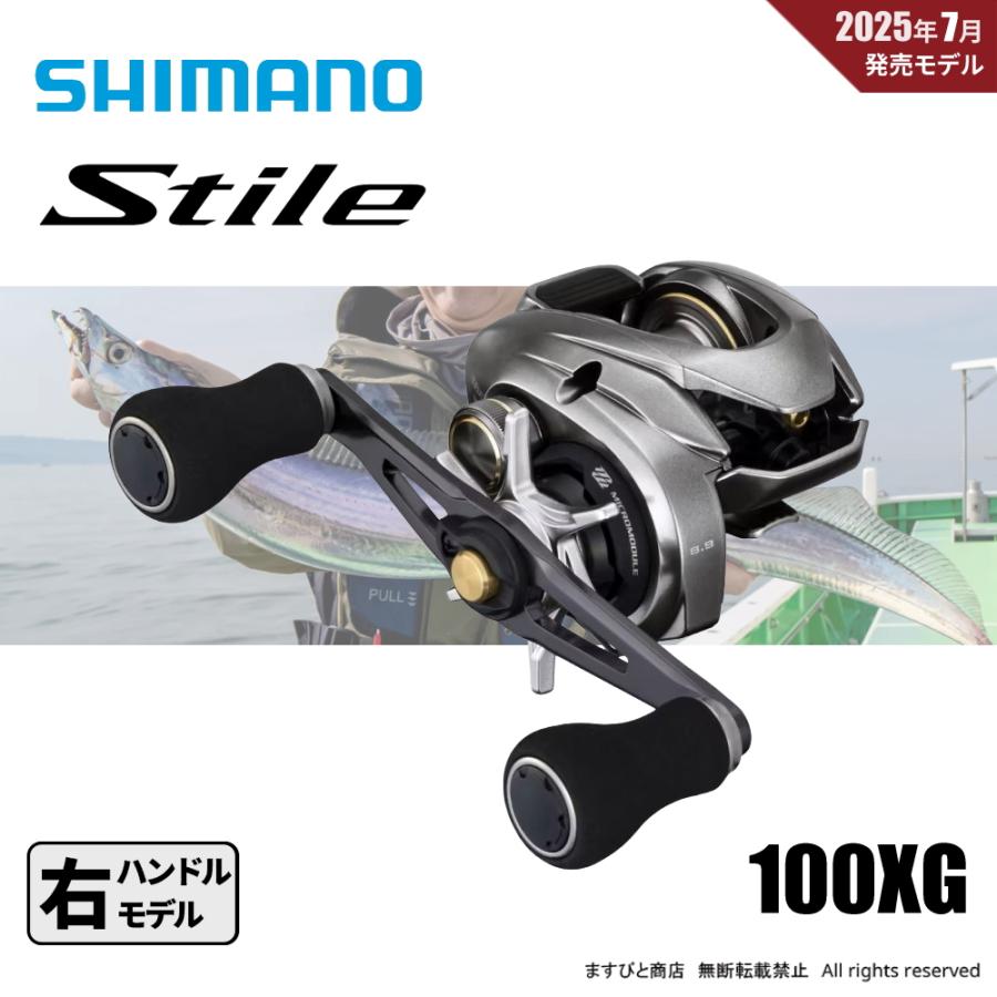 シマノ(SHIMANO) ベイトリール 25スティーレ 100XG シマノ 25 スティーレ 100XG 釣り ベイトリール - 最安値・価格比較