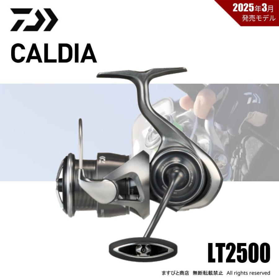 DAIWA（ダイワ） 限定セール 40％OFF 25 カルディア LT2500 送料無料