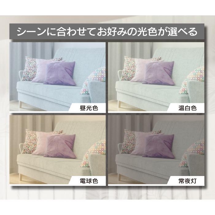 シーリングファンライト LED シーリングライト 10畳 調光 調色 扇風機