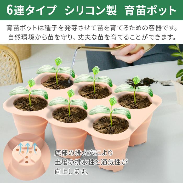 育苗ポット トレー 6連タイプ 育苗トレイ 6穴 植物 種子 発芽 容器 苗