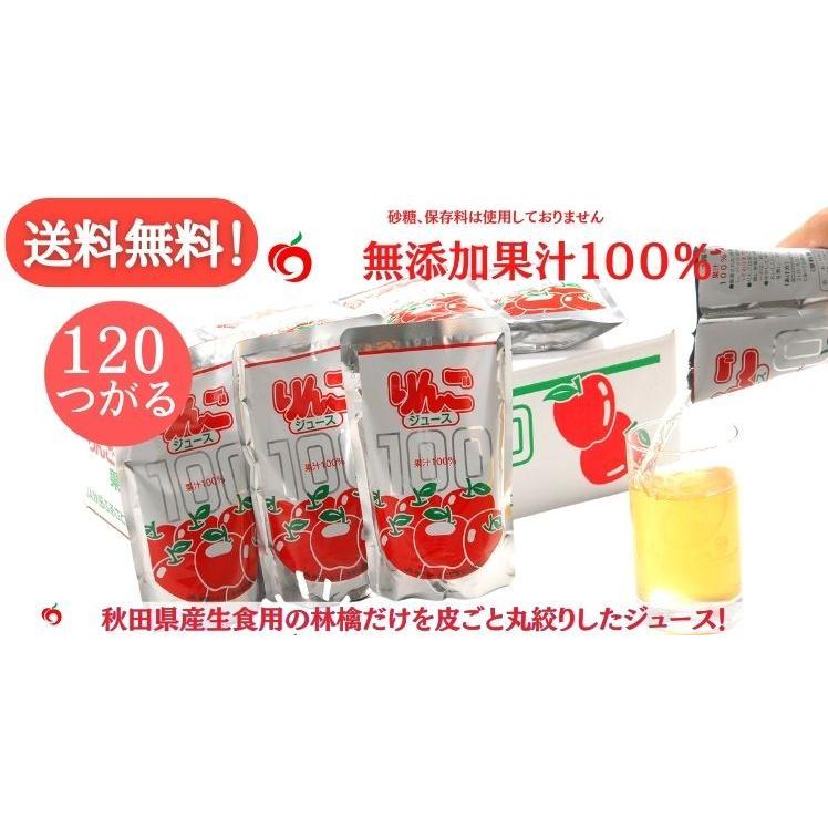 送料無料 ＪＡ秋田ふるさと 無添加 つがる りんごジュース １２０パック 20箱入り× ６箱｜masudabussanplaning