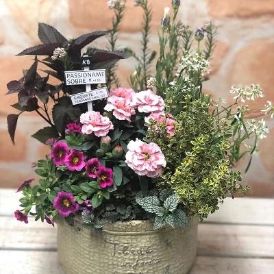 寄せ植え おしゃれ テラコッタ コンテナガーデン 季節のおまかせ