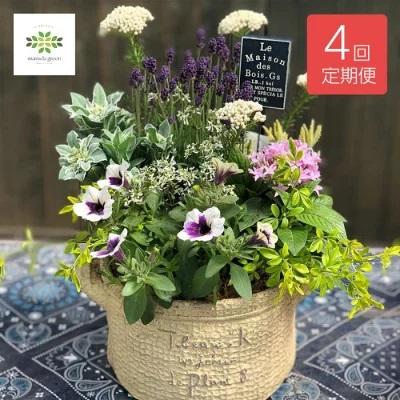 寄せ植え おしゃれ テラコッタ コンテナガーデン 年4回 季節のおまかせ