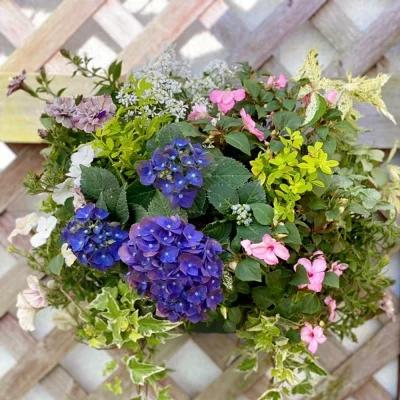 ハンギングバスケットマスターの作る 季節のおまかせ ハンギング