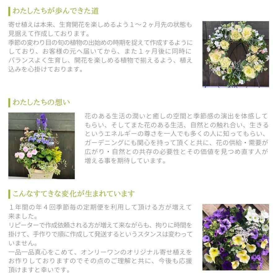 ハンギングリース 寄せ植え おしゃれ 季節のおまかせ 生花 ハンギングリース 寄せ植え おしゃれ 季節のおまかせ 生花