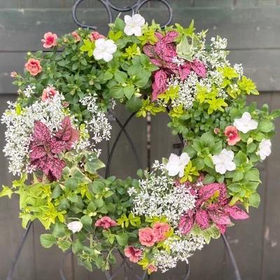 ハンギングリース 寄せ植え おしゃれ 季節のおまかせ 生花 フラワー