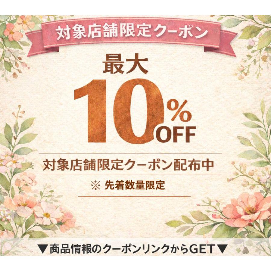 遅れてゴメンね母の日 2026 カーネーション オレンジ系 品種おまかせ