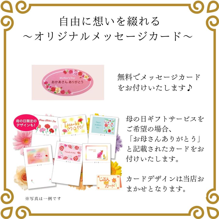 母の日 プレゼント ギフト つるバラ 鉢植え 舞姫 タワー仕立て 5号 ピンク 薔薇 母の日ギフト 23年 送料無料 マスダグリーン 通販 Yahoo ショッピング