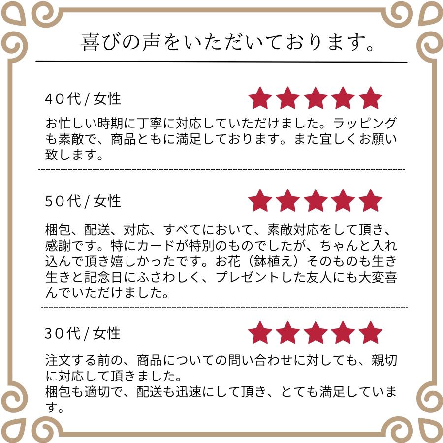 光触媒 アートフラワー 胡蝶蘭 白 ホワイト M 5本立 空気洗浄効果 造花 フラワーギフト 誕生日 記念日 お祝い 引越し 開店