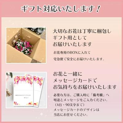 光触媒 アートフラワー 胡蝶蘭 白 ホワイト M 5本立 空気洗浄効果 造花 フラワーギフト 誕生日 記念日 お祝い 引越し 開店
