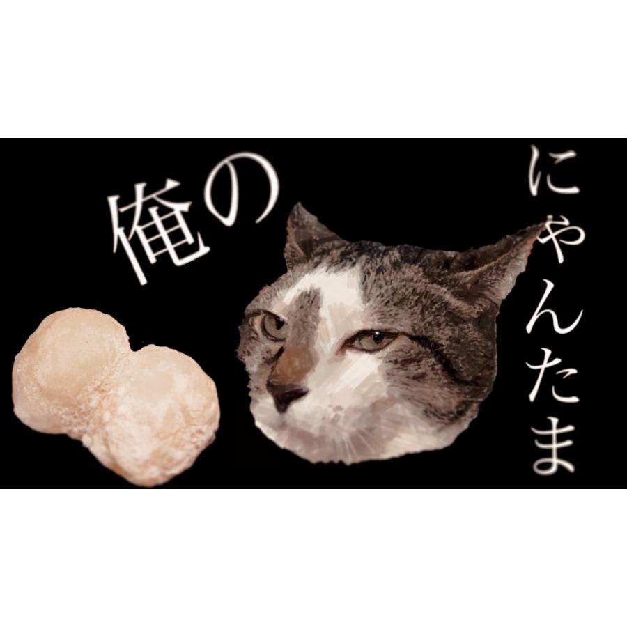 予約受付中】新感覚大福 俺のにゃんたま 〜4種の猫で4つの味〜【8月頃