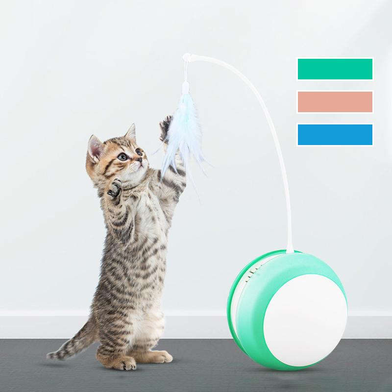 新製品情報も満載 o猫 おもちゃ 猫用おもちゃ ねこ ペット用品 オモチャ 猫グッズ遊び道具 緑 o猫 おもちゃ 猫用おもちゃ ねこ ペット用品 オモチャ 猫グッズ遊び道具