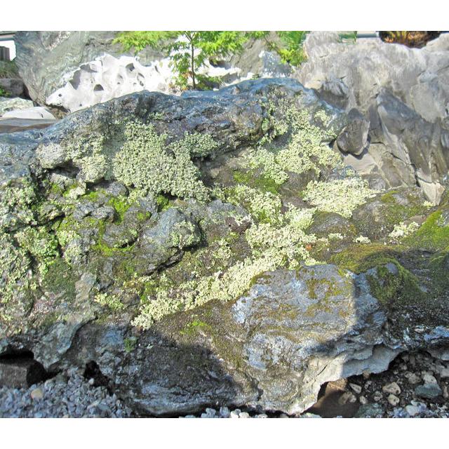 幸太郎石 銘石 北海道産 庭石 高さ約53cm 幅約1m28cm 景石 古潭石 和風 庭園 幸太郎 天然石 054_2
