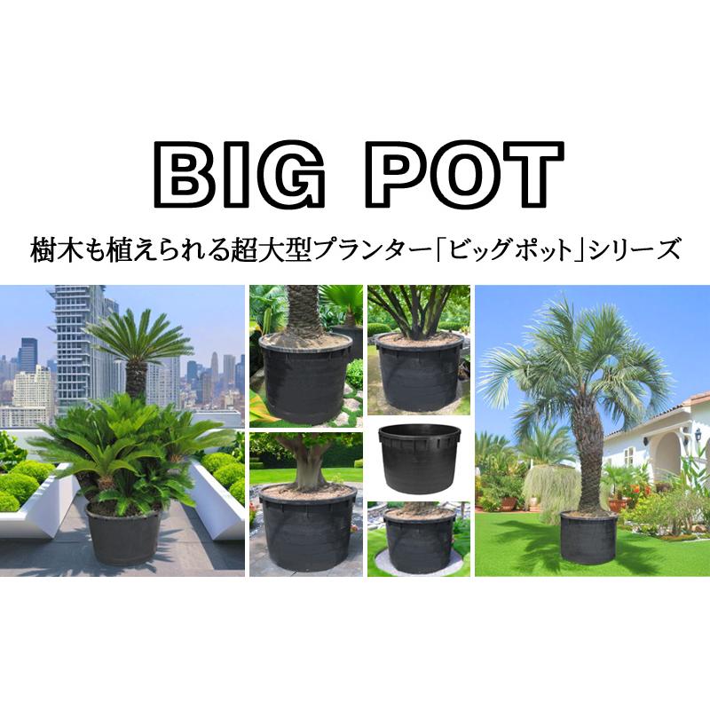 大型 プランター ビッグポット 121 φ121cm 700L 大きい 植木鉢