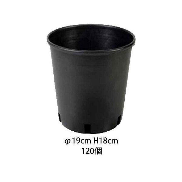 送料無料 ナーセリーポット19 120個セット 6号 3.5L φ19cm プランター フラワーポット 丸 小型 小さい 黒 植木鉢 大量 まとめ 生産者 農園 業務用 プロ RP19の画像