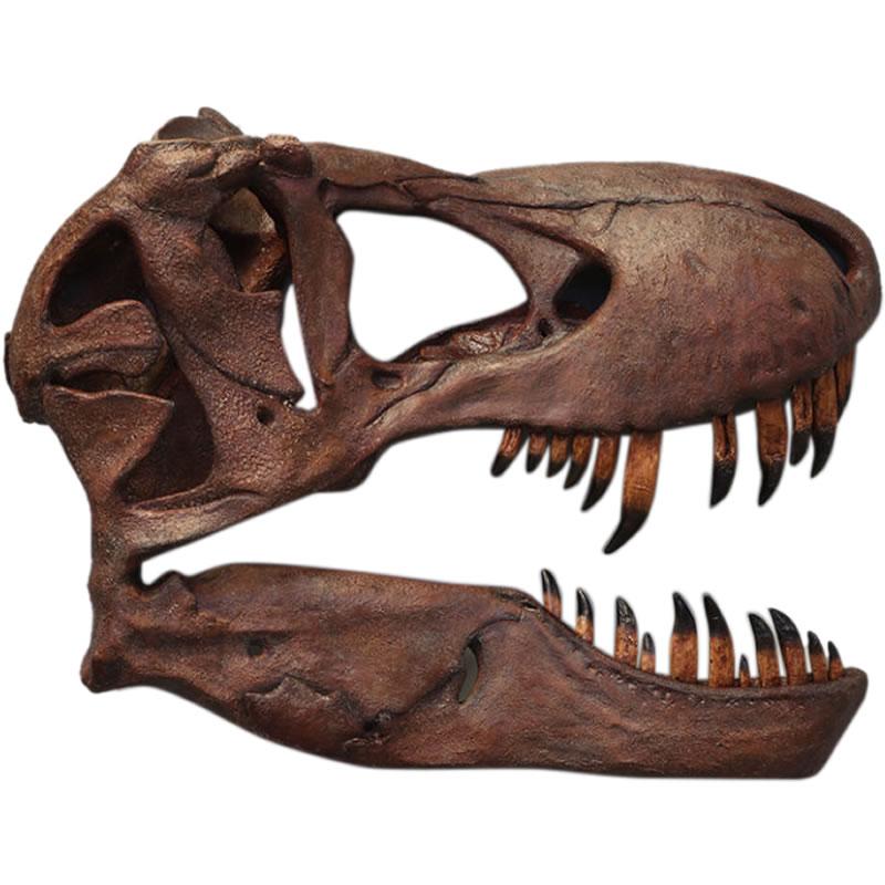 壁掛けティレックス頭骨 T-rex リアル 恐竜 爬虫類 動物 目立つ 巨大