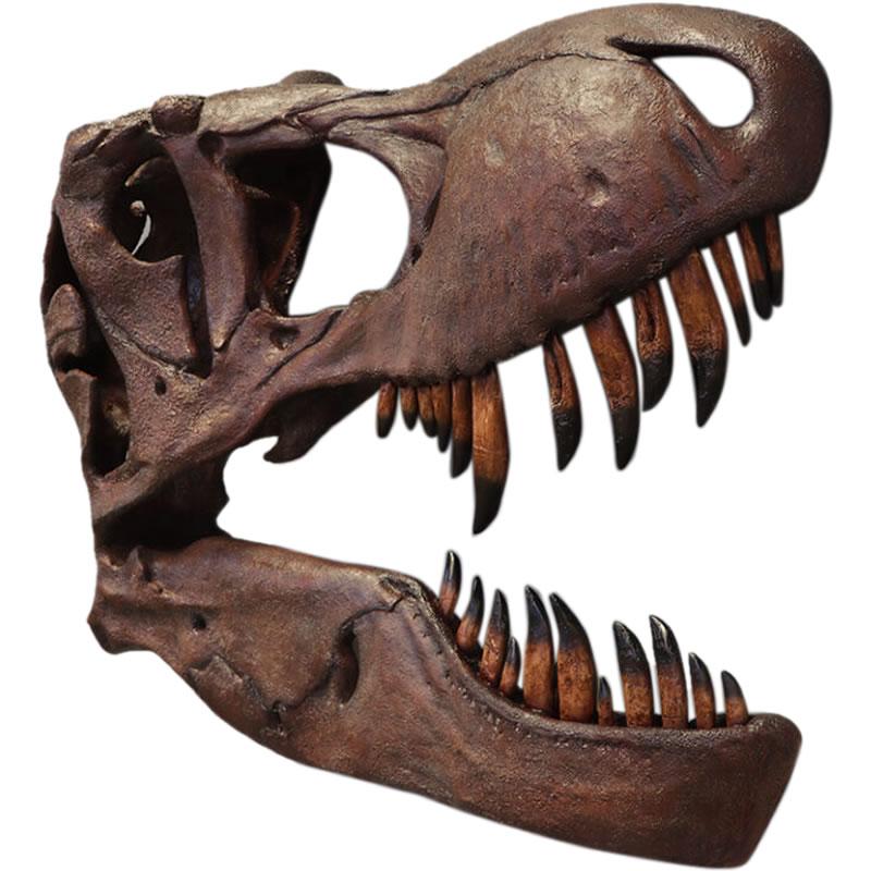 壁掛けティレックス頭骨 T-rex リアル 恐竜 爬虫類 動物 目立つ 巨大