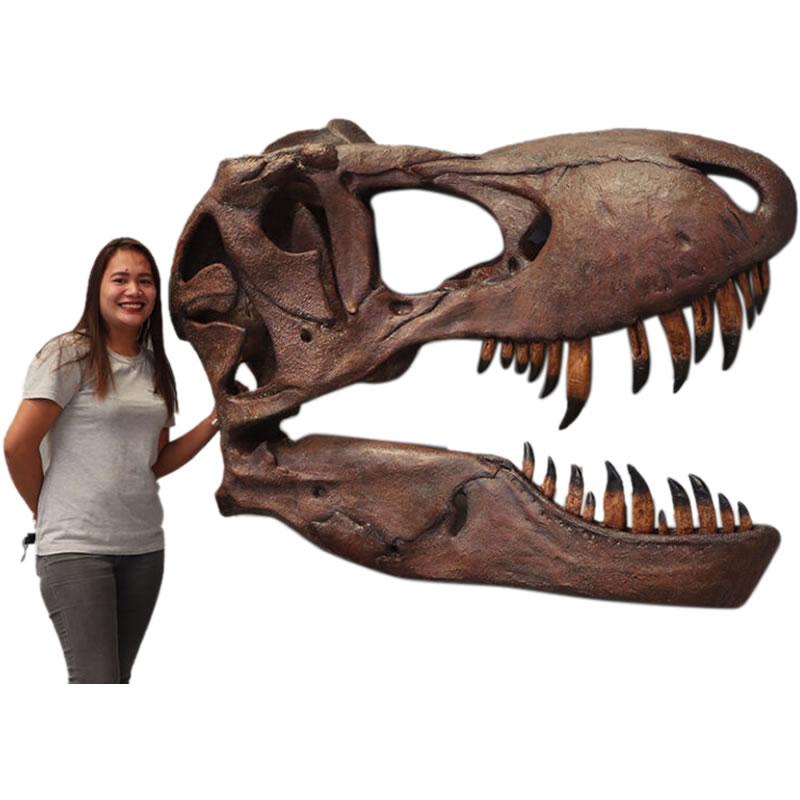 壁掛けティレックス頭骨 T-rex リアル 恐竜 爬虫類 動物 目立つ 巨大