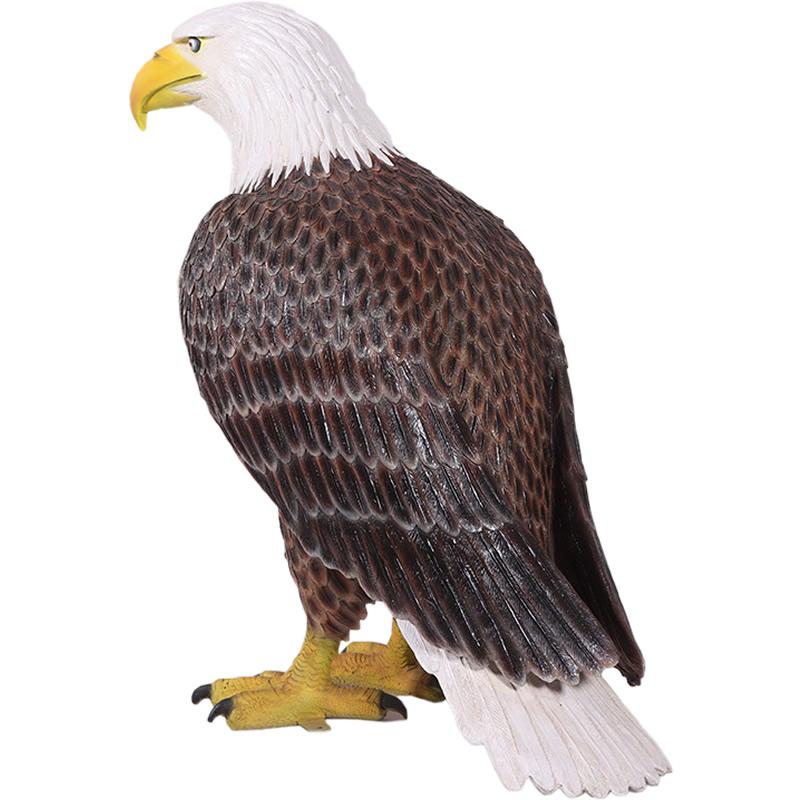 大きなハクトウワシ アメリカンイーグル 猛禽類 鳥 実物大 リアル