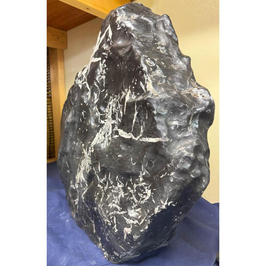 菊花石 【43】高さ約56cm 幅約56cm 天然石 置物 鑑賞石 盆石 景石 飾り石 希少 パワーストーン 水石 自然の芸術！  自然石 銘石の画像