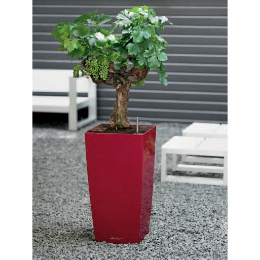 ドイツ製デザインプランター キュービコ 30 幅30cm 高さ56cm 底面灌水セット付 送料無料 レチューザ Lechuza 観葉植物 フラワーポット スクエア 植木鉢 おしゃれの画像