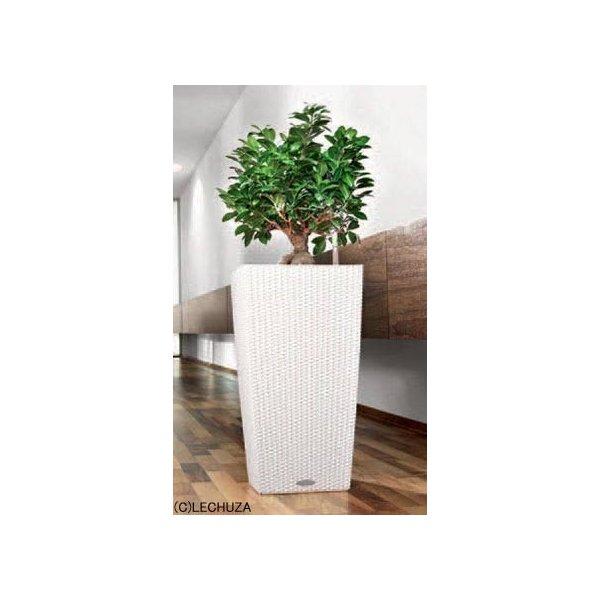 ドイツ製デザインプランター コテージ 30 W30cm H56cm 底面灌水セット付 LE-6030 レチューザ 送料無料 フラワーポット スクエア 植木鉢 鉢植え 屋外 おしゃれの画像